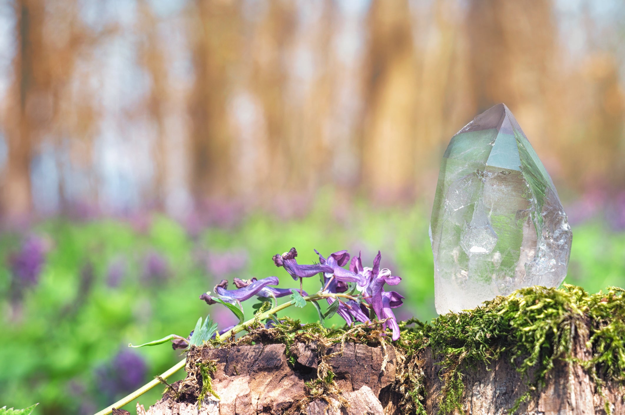 credit photo istock Kovshutin Denis - image of a crystal on nature